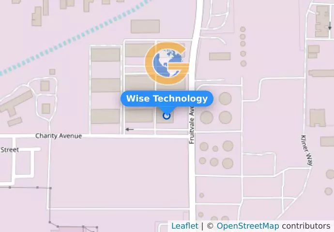 Wise Technology