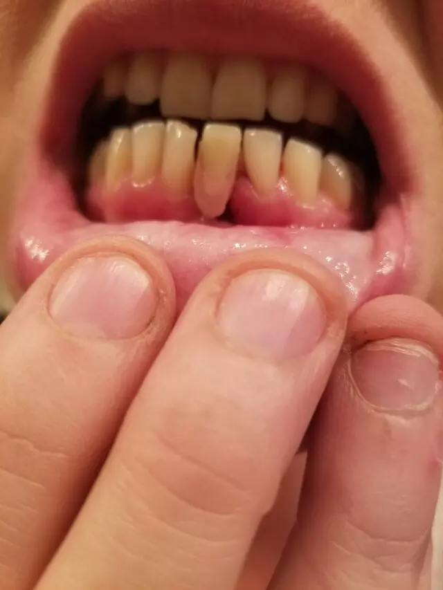 Western Dental & Orthodontics