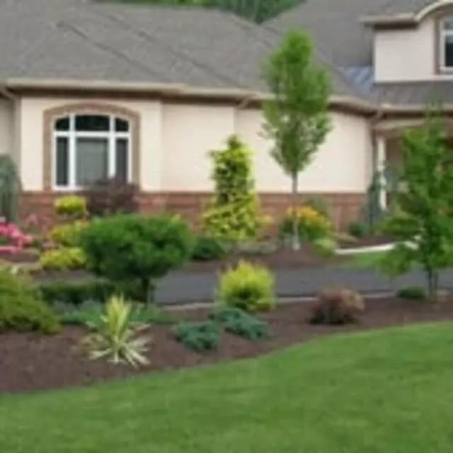 Aqua Xeriscapes
