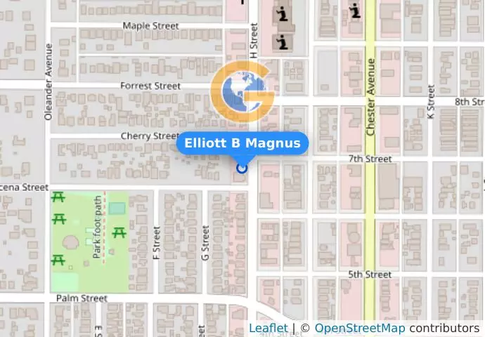 Elliott B Magnus