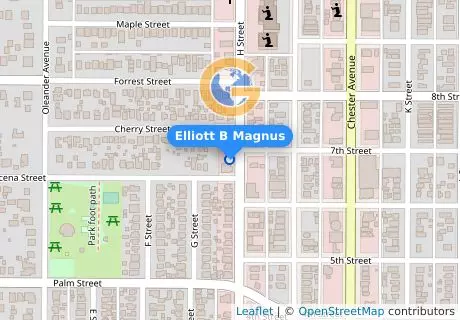Elliott B Magnus