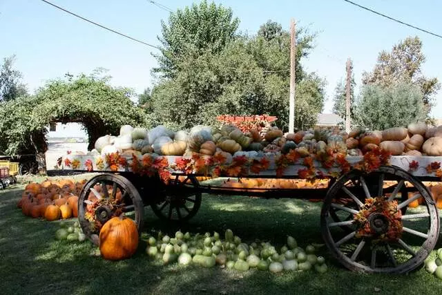 Banducci Harry Farms