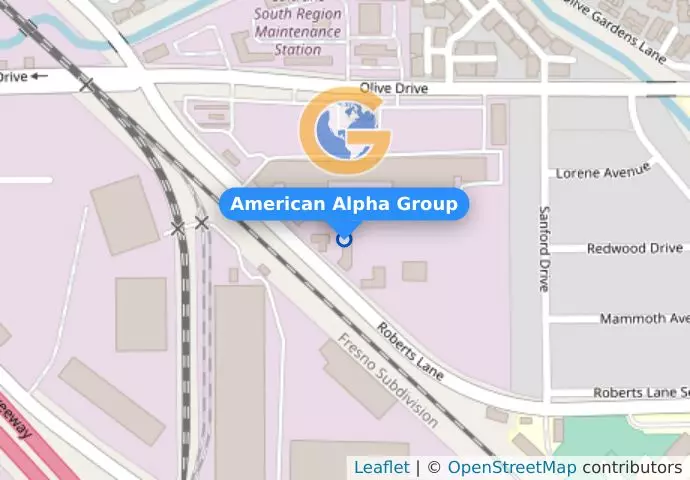 American Alpha Group