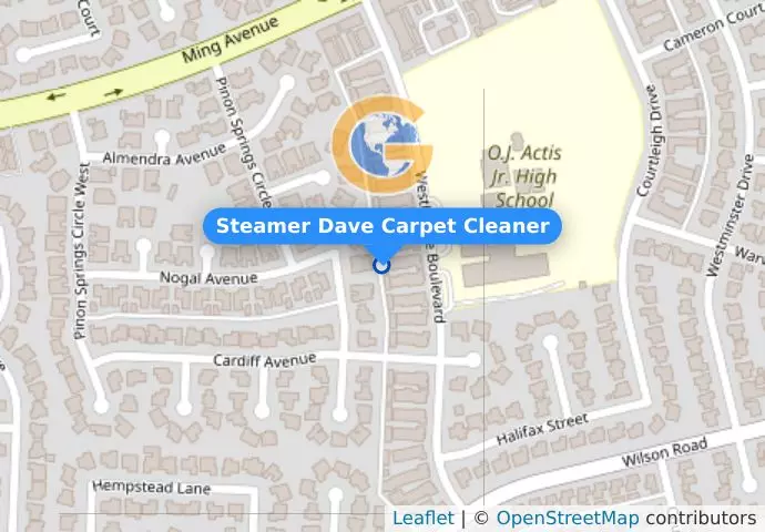 Steamer Dave Carpet Cleaner