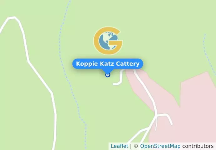 Koppie Katz Cattery