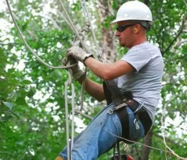 Jimmy&apos;s Tree Service