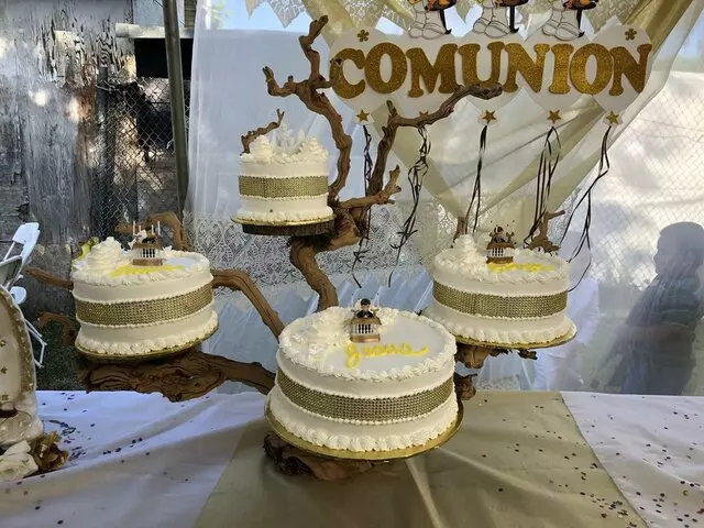 Angelica&apos;s Bakery