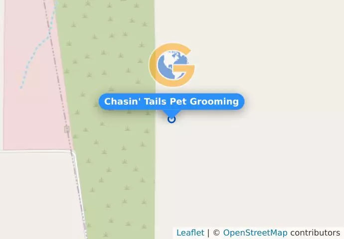 Chasin&apos; Tails Pet Grooming