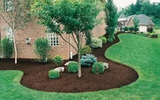 Gabriel Gardening