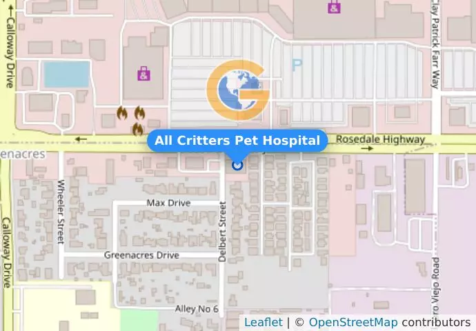 All Critters Pet Hospital