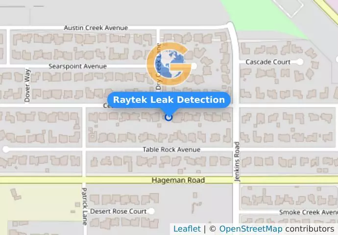 Raytek Leak Detection