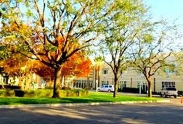 Venable&apos;s Tree Service