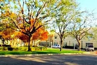 Venable's Tree Service