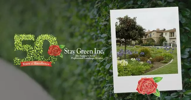 Stay Green