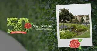Stay Green
