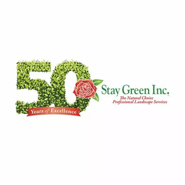 Stay Green