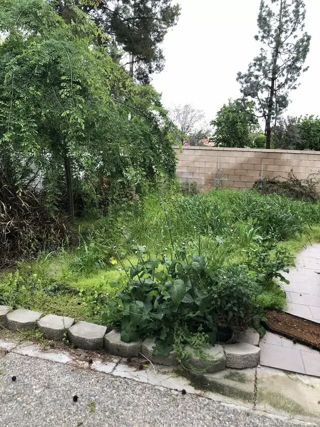Poma Landscaping