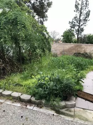 Poma Landscaping
