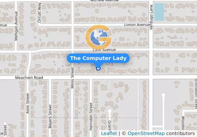 The Computer Lady