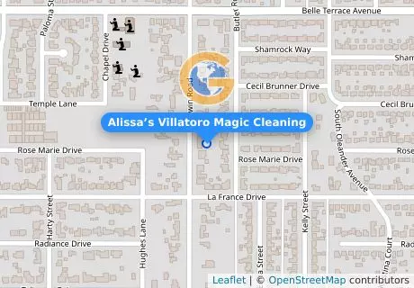 Alissa’s Villatoro Magic Cleaning