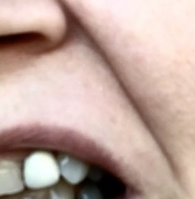 Ayala Rodrigo DDS