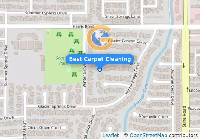 Best Carpet Cleaning