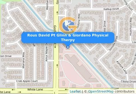 Rous David Pt Glinn & Giordano Physical Therpy