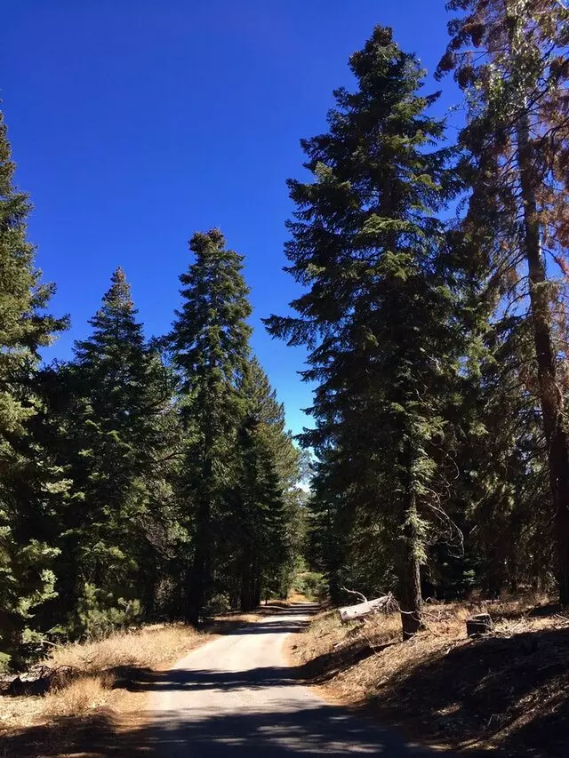 Mill Creek Trail