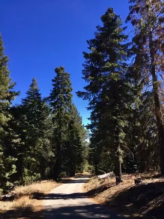 Mill Creek Trail