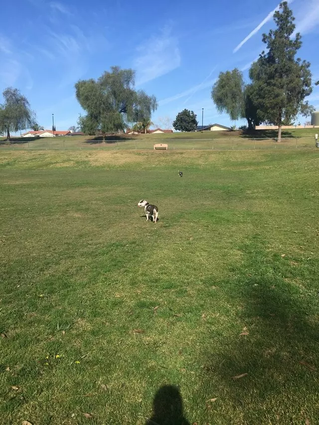 University Park & Dog Park