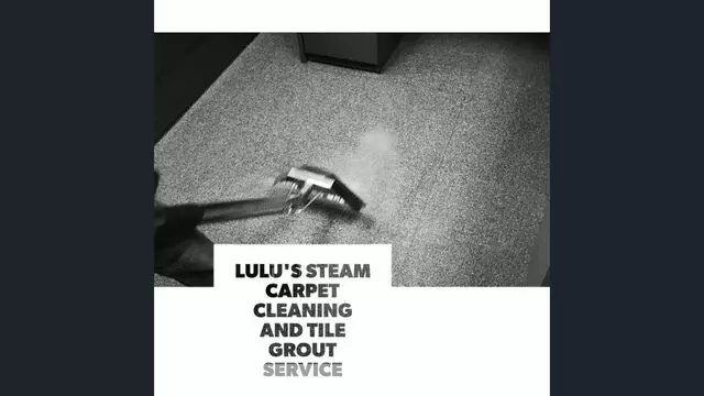 Lulu&apos;s Carpet Cleaning Services