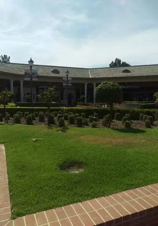 Bella At the Marketplace