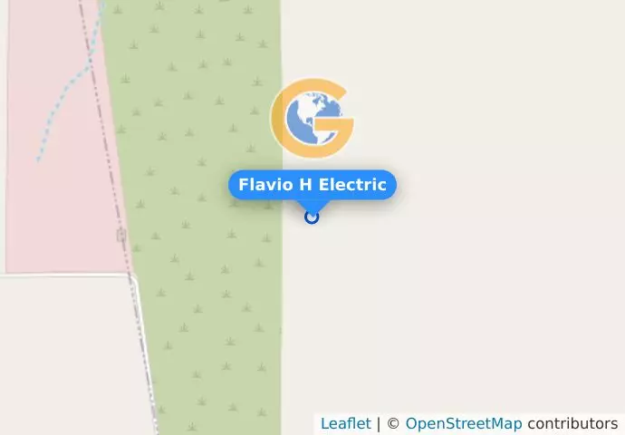 Flavio H Electric