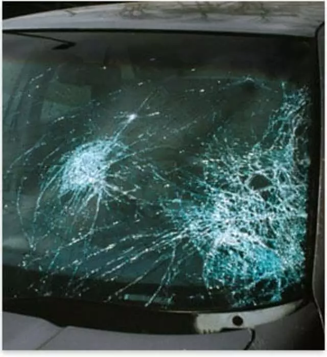 Absolute Windshield Repair