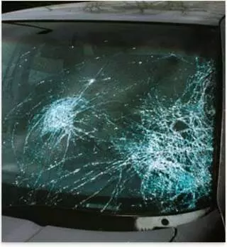 Absolute Windshield Repair