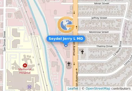 Seydel Jerry L MD