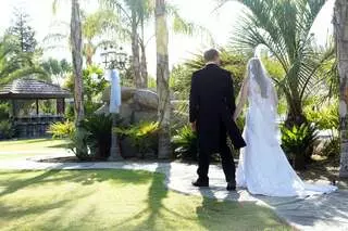 Paradise Events