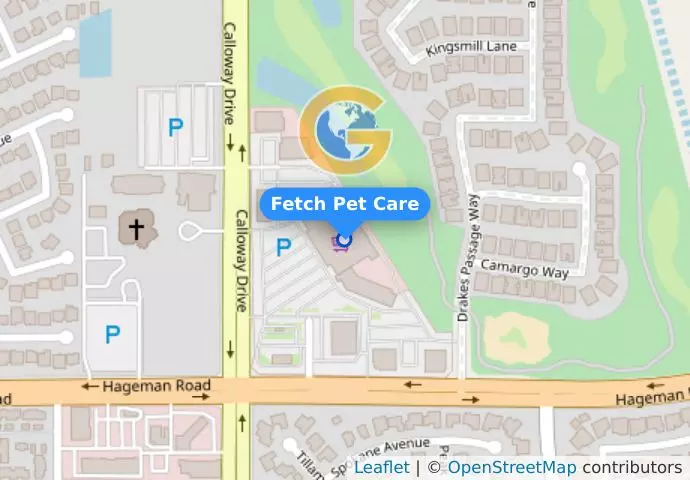 Fetch Pet Care