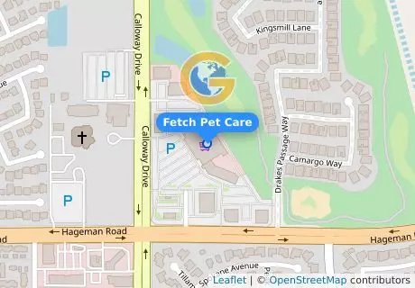 Fetch Pet Care