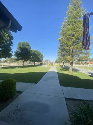 Cal State Tree Service