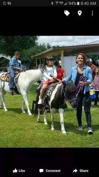 My Pony Go Round