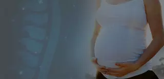Core Chiropractic + Wellness
