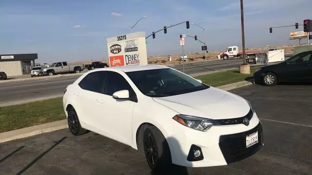 RBI Window Tint