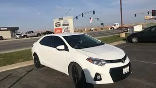 RBI Window Tint