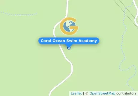 Coral Ocean Swim Academy
