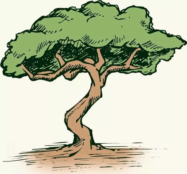 Chriso&apos;s Tree Trimming