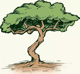 Chriso's Tree Trimming