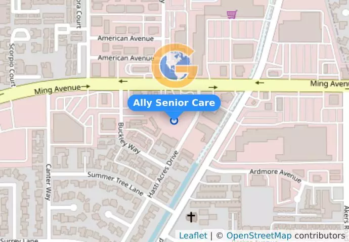 Ally Senior Care