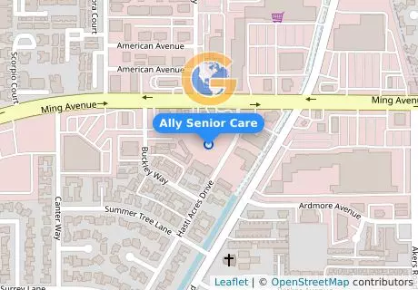Ally Senior Care