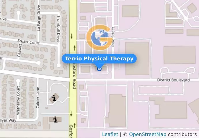 Terrio Physical Therapy